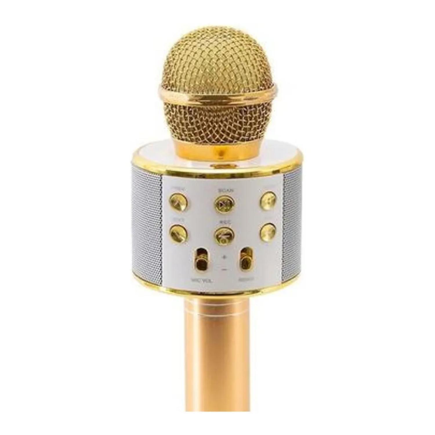 Kit 2 Microfonos Karaoke TWS Bluetooth USB-2