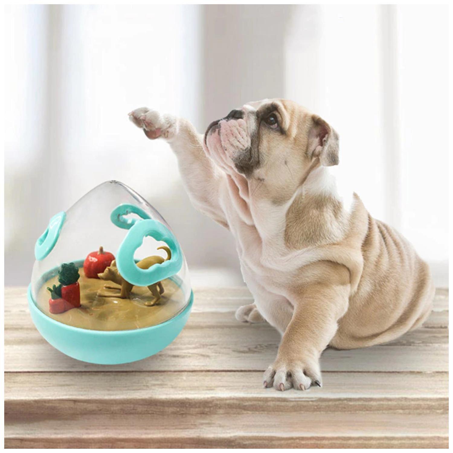 Juguete De Morder Para Mascotas Cachorros-5