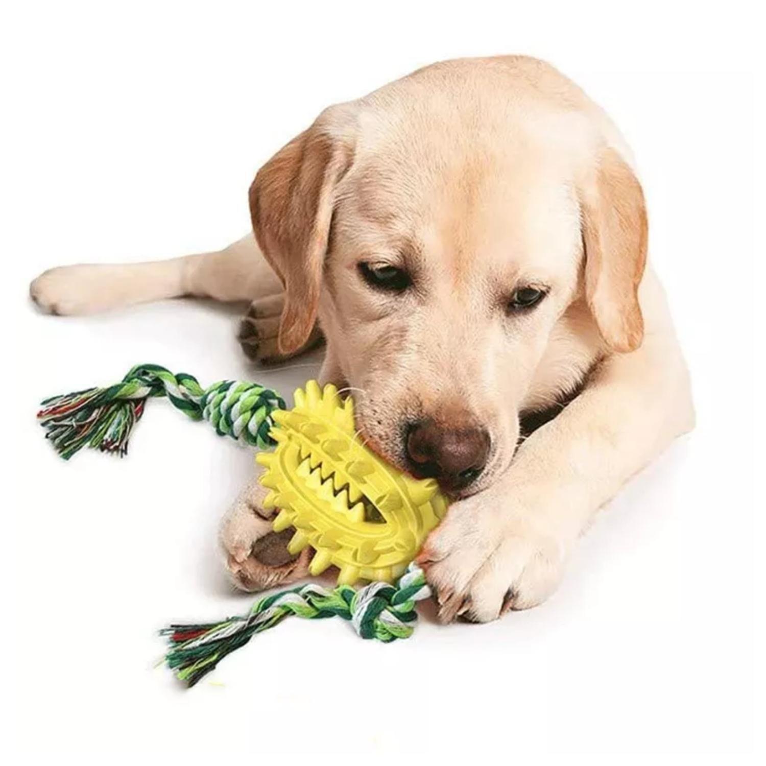 Juguete Para Morder Porta Comida Para Mascotas-5