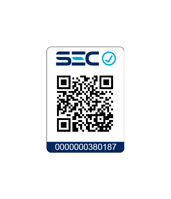 GUIRNALDA 10M CERTIFICADA 10 AMPOLLETA TIPO EDISON 4W-3