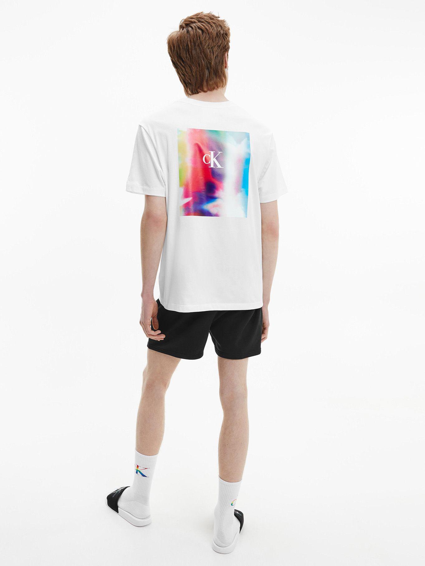 Polera Pride Big Logo Blanco Calvin Klein-1
