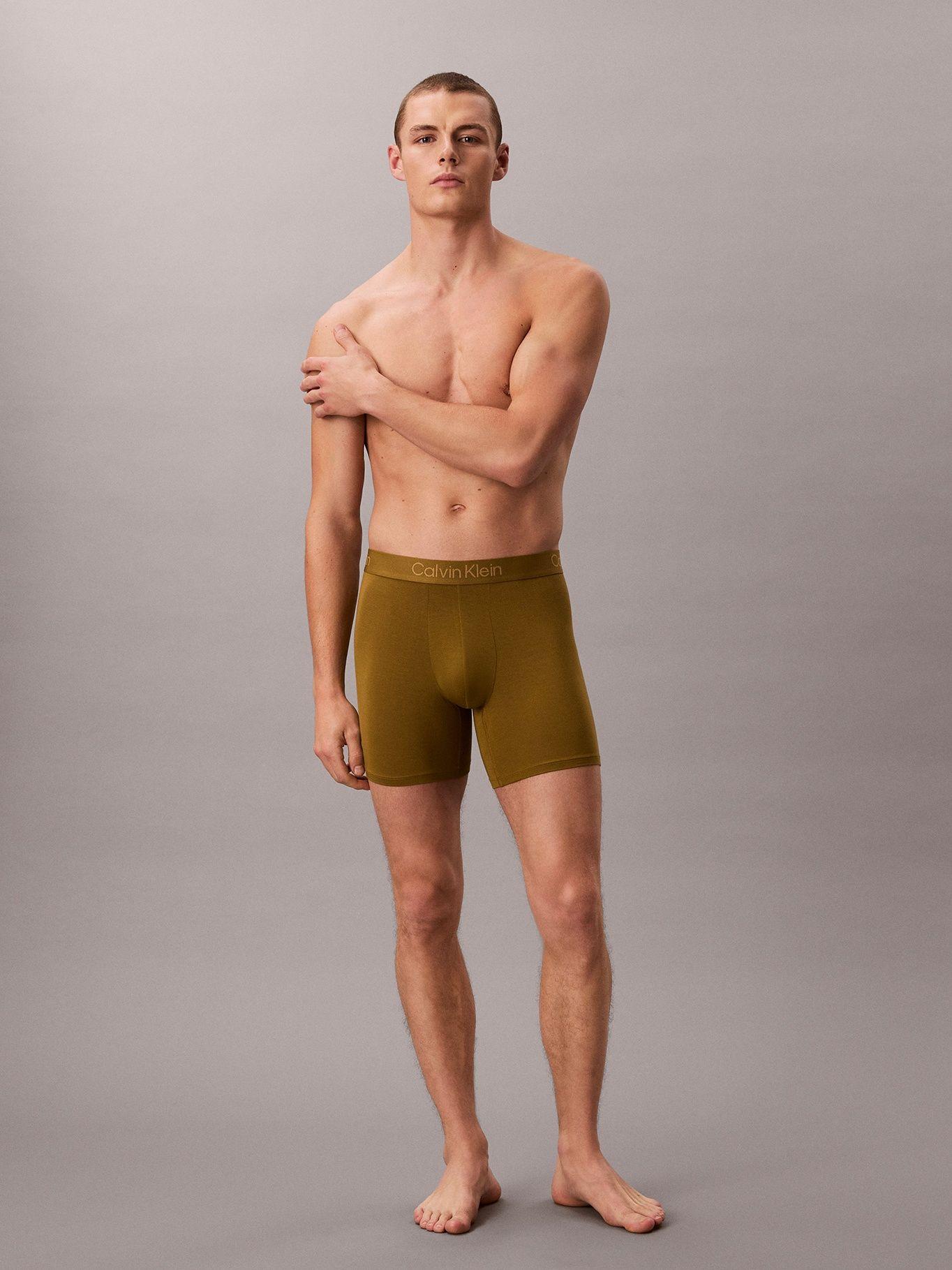 Pack 3 Bóxer Brief Modern Modal Multicolor Calvin Klein-2