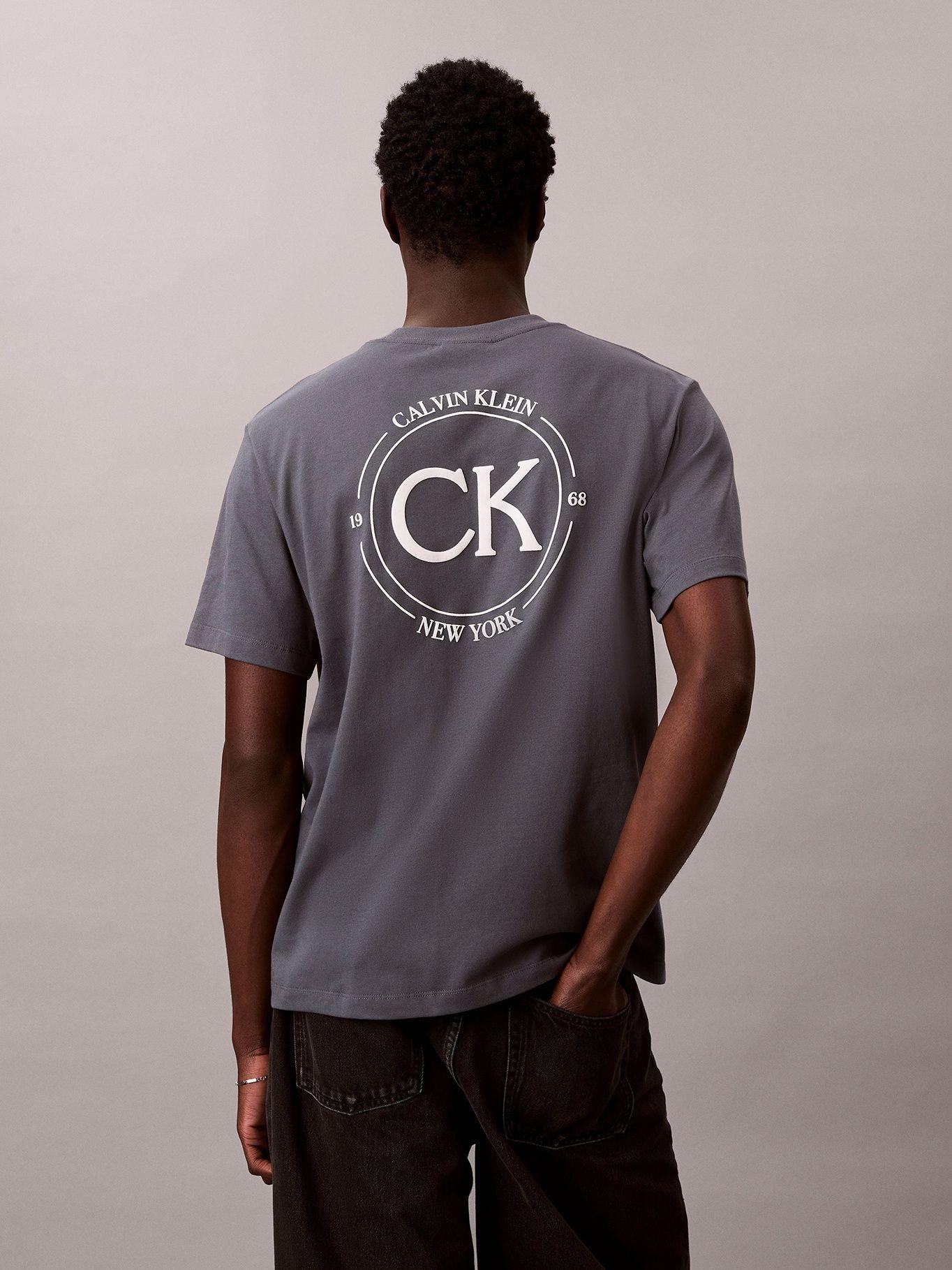 Polera con Estampado Gráfico Gris Calvin Klein-2