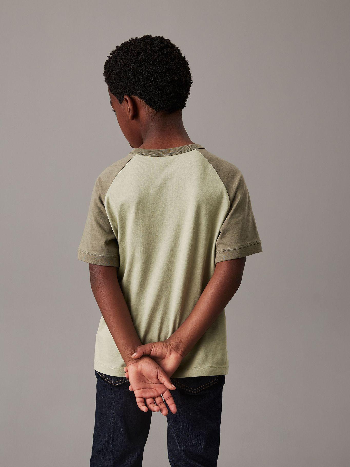 Polera Niño Color Block Verde Calvin Klein-2
