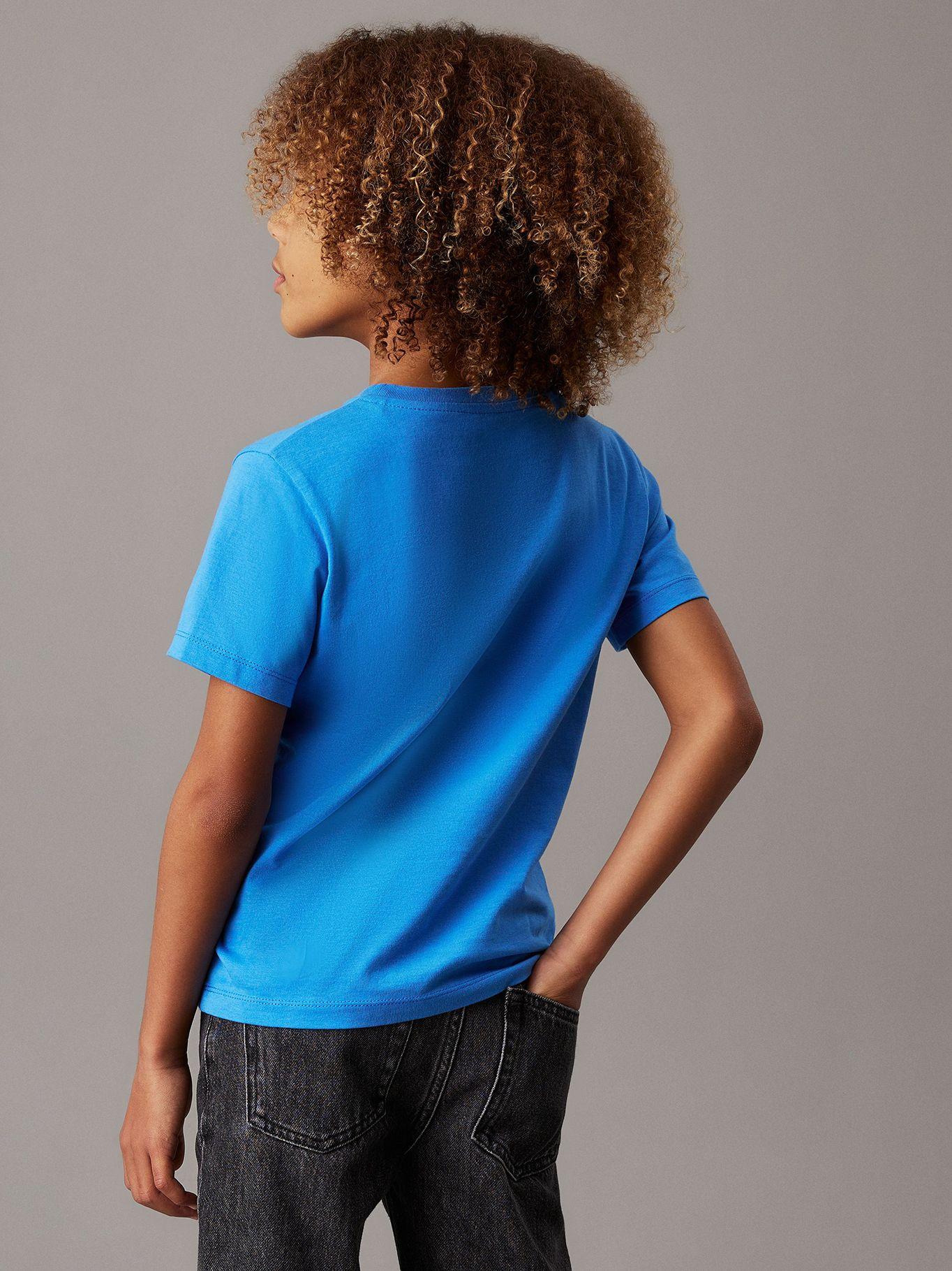 Polera Niño Good Level Regular Azul Calvin Klein-2