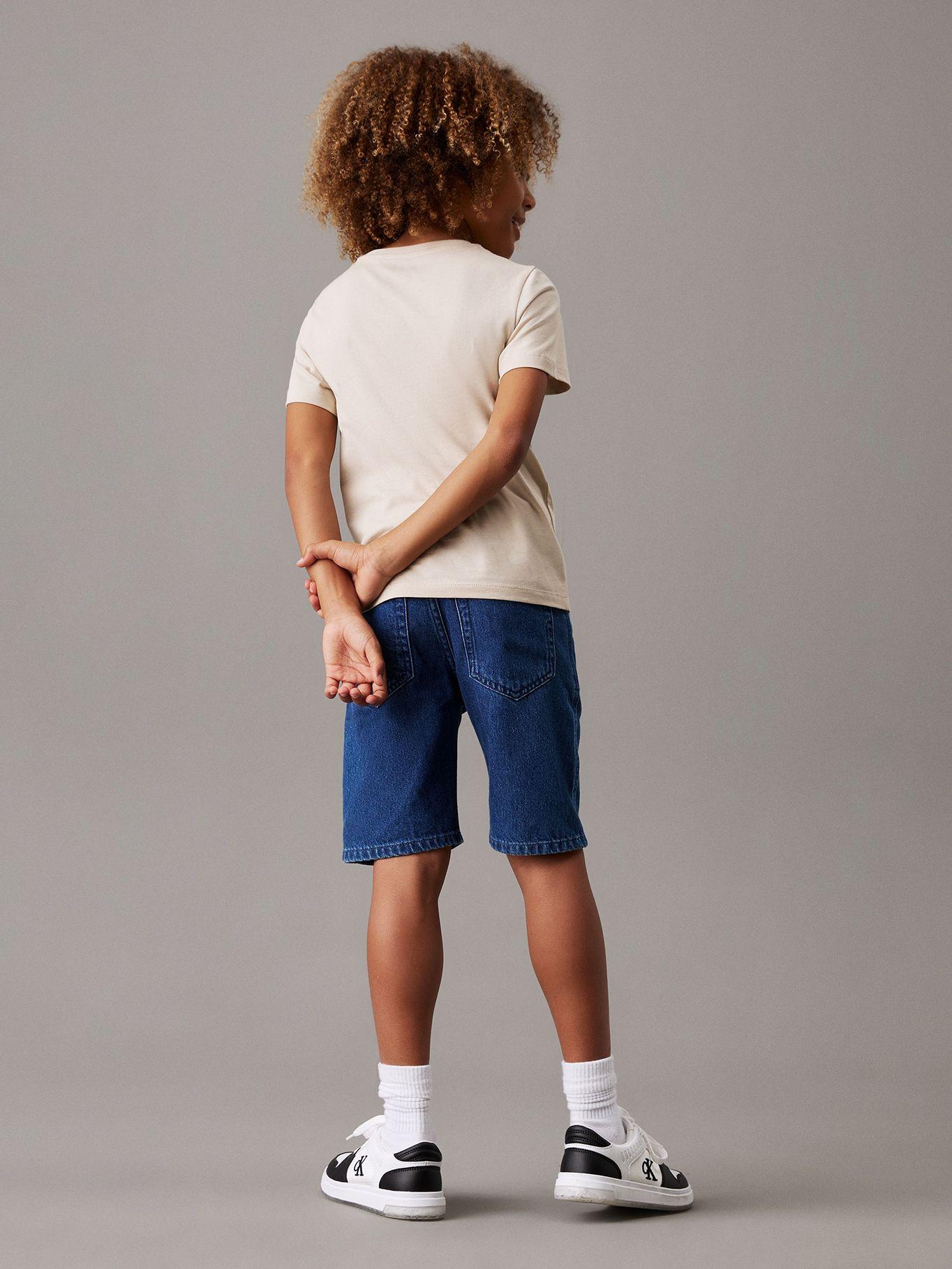 Polera Niño Chest Surf Graphic Beige Calvin Klein-2