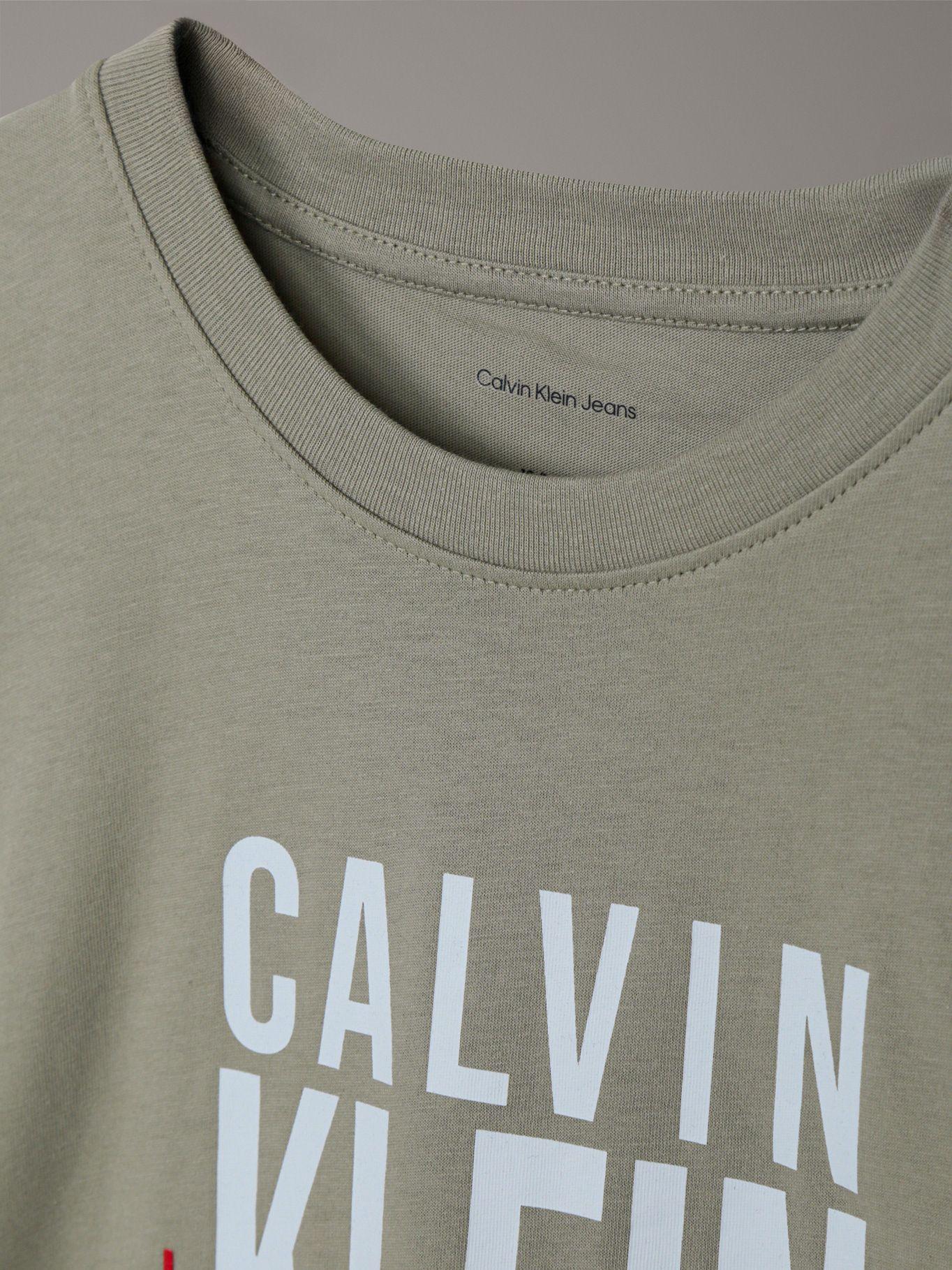 Polera Niño Bold Ckj Graphic Verde Calvin Klein-3