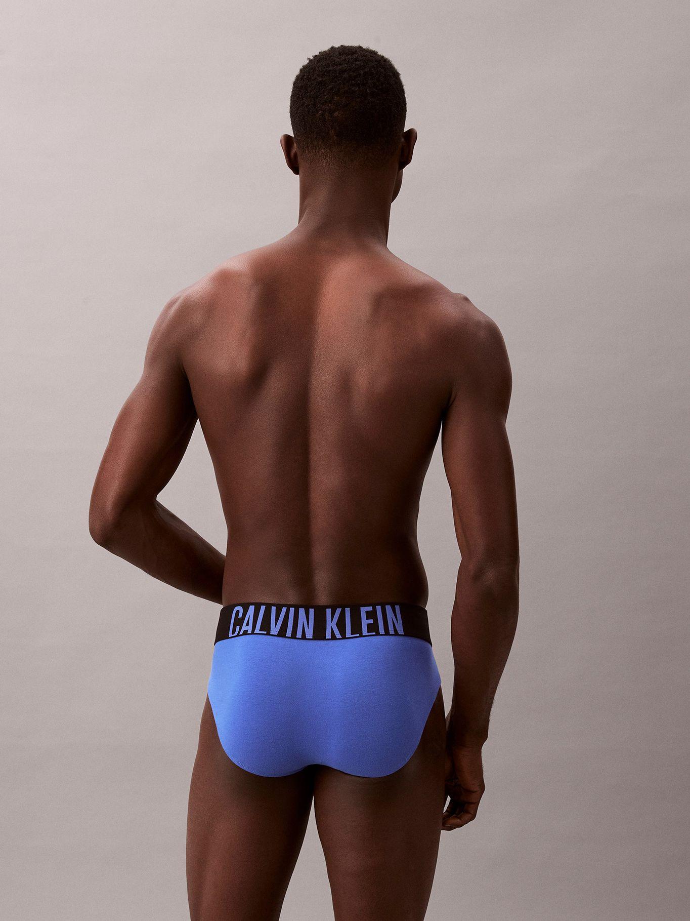 Pack de 3 Slips Intense Power Multicolor Calvin Klein-3
