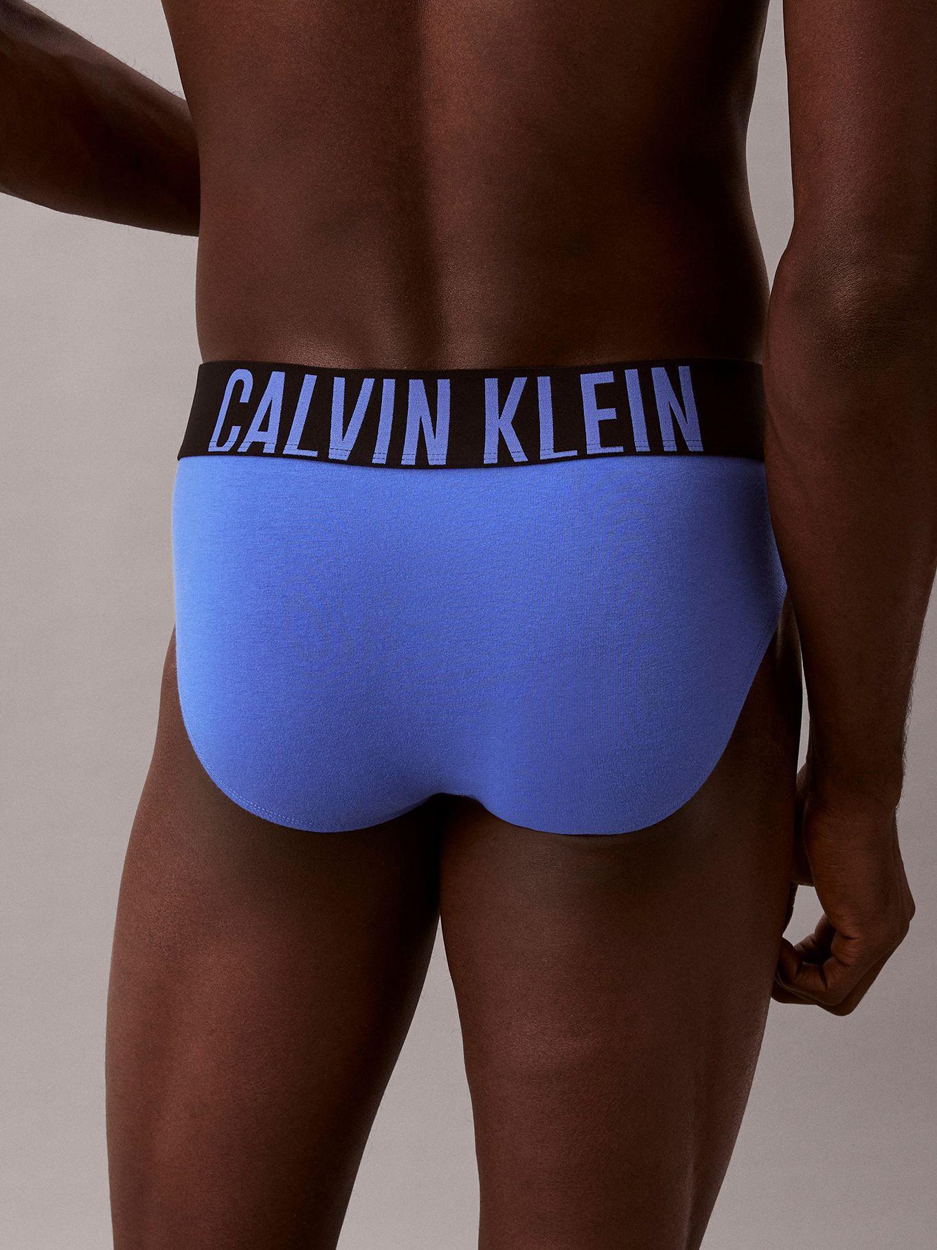 Pack de 3 Slips Intense Power Multicolor Calvin Klein-5