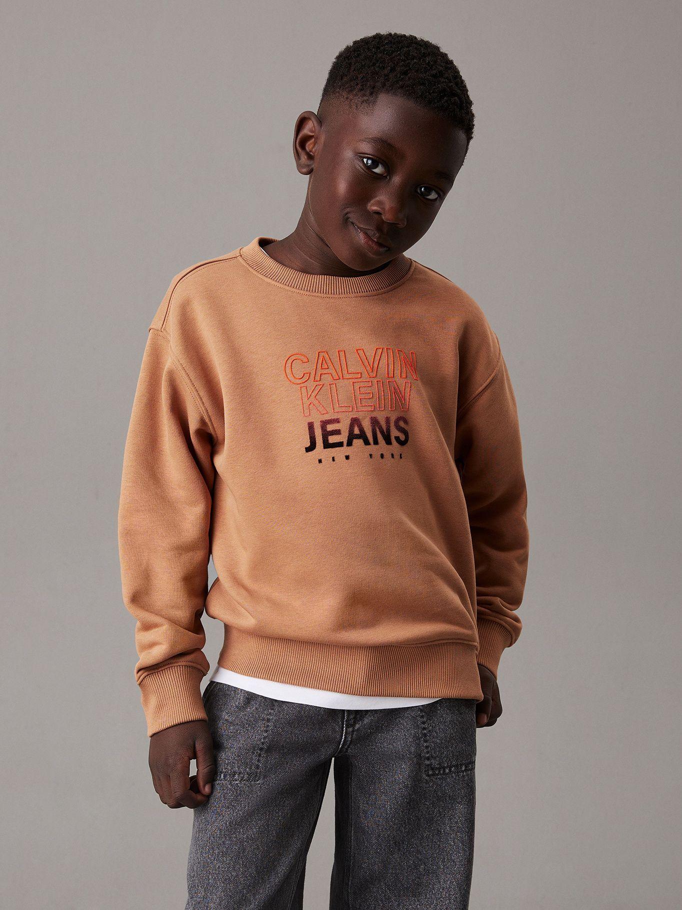 Polerón Niño Gradient Flock Logo Café Calvin Klein-0