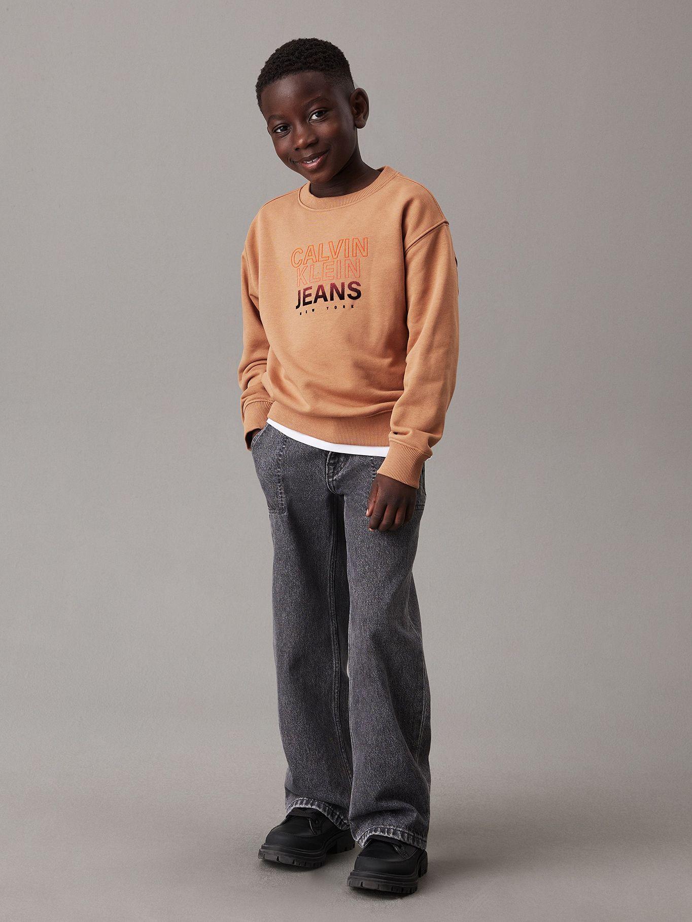 Polerón Niño Gradient Flock Logo Café Calvin Klein-1