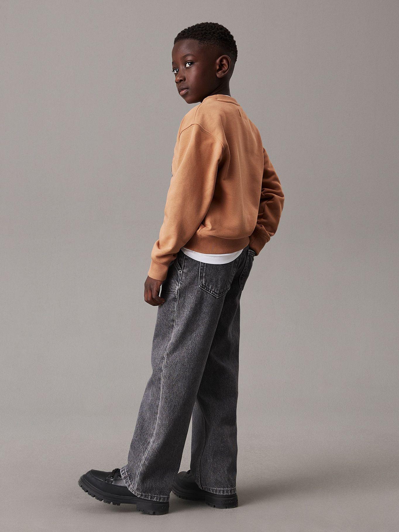 Polerón Niño Gradient Flock Logo Café Calvin Klein-2