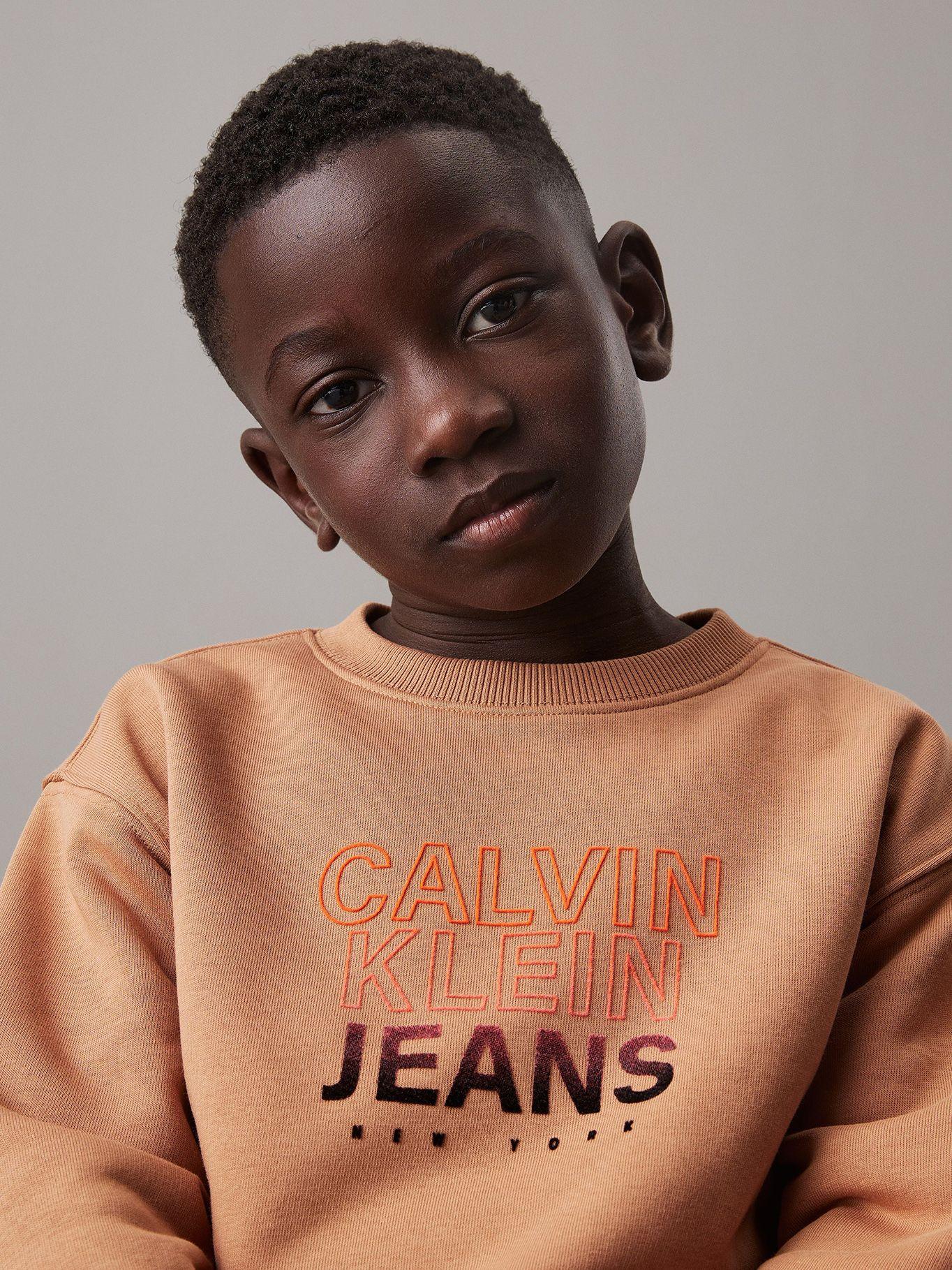 Polerón Niño Gradient Flock Logo Café Calvin Klein-3