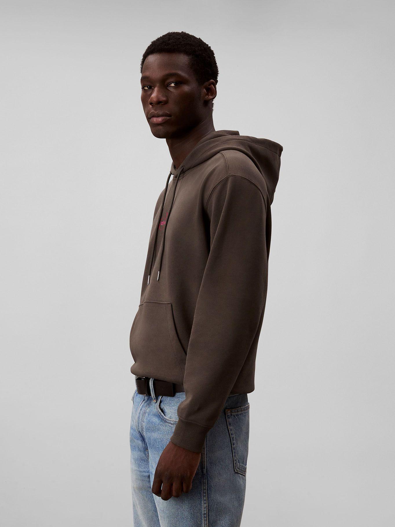 Polerón con Gorro y Logo Gris Calvin Klein-3