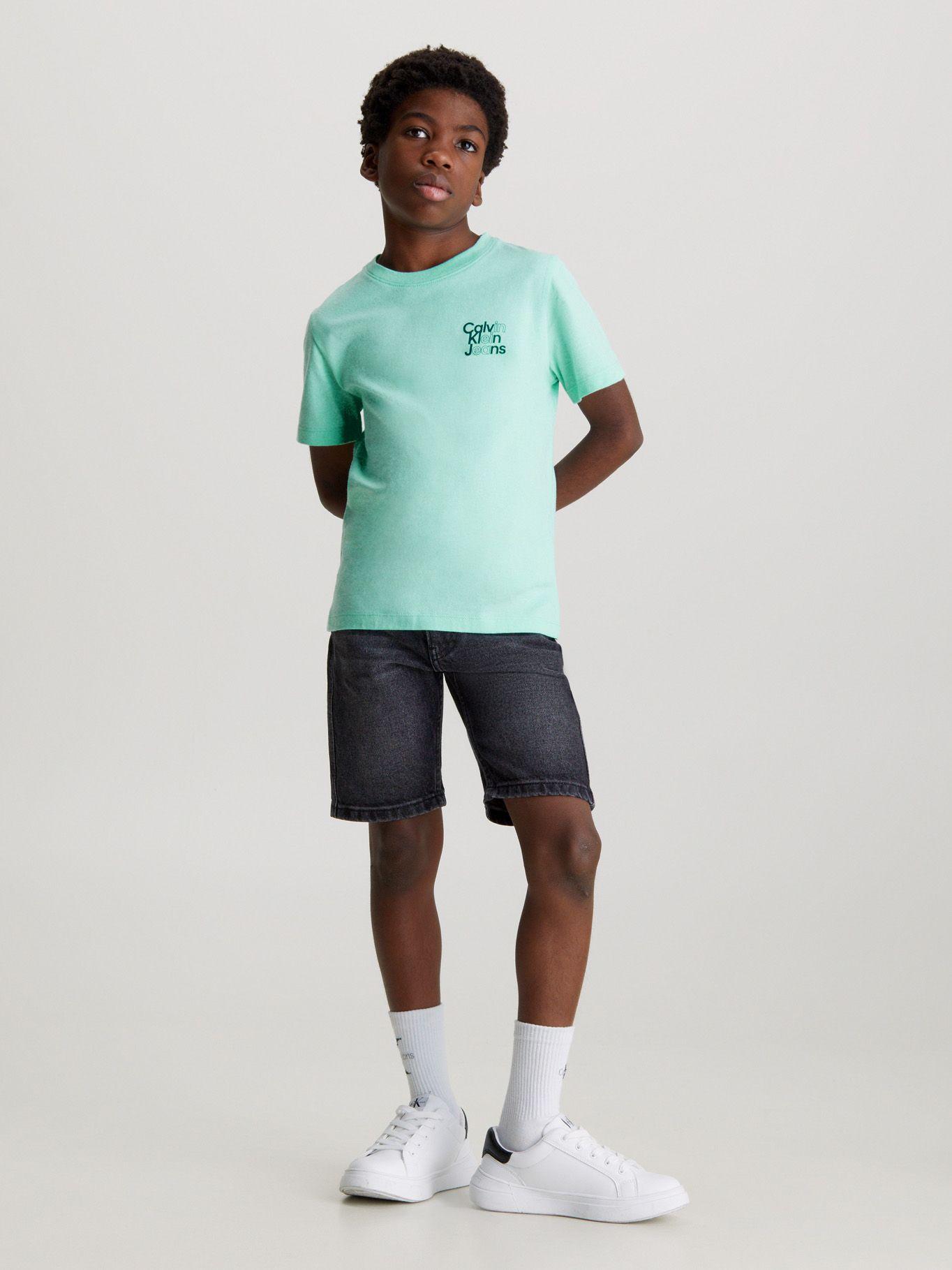 Polera Niño Chest Logo Verde Calvin Klein-1
