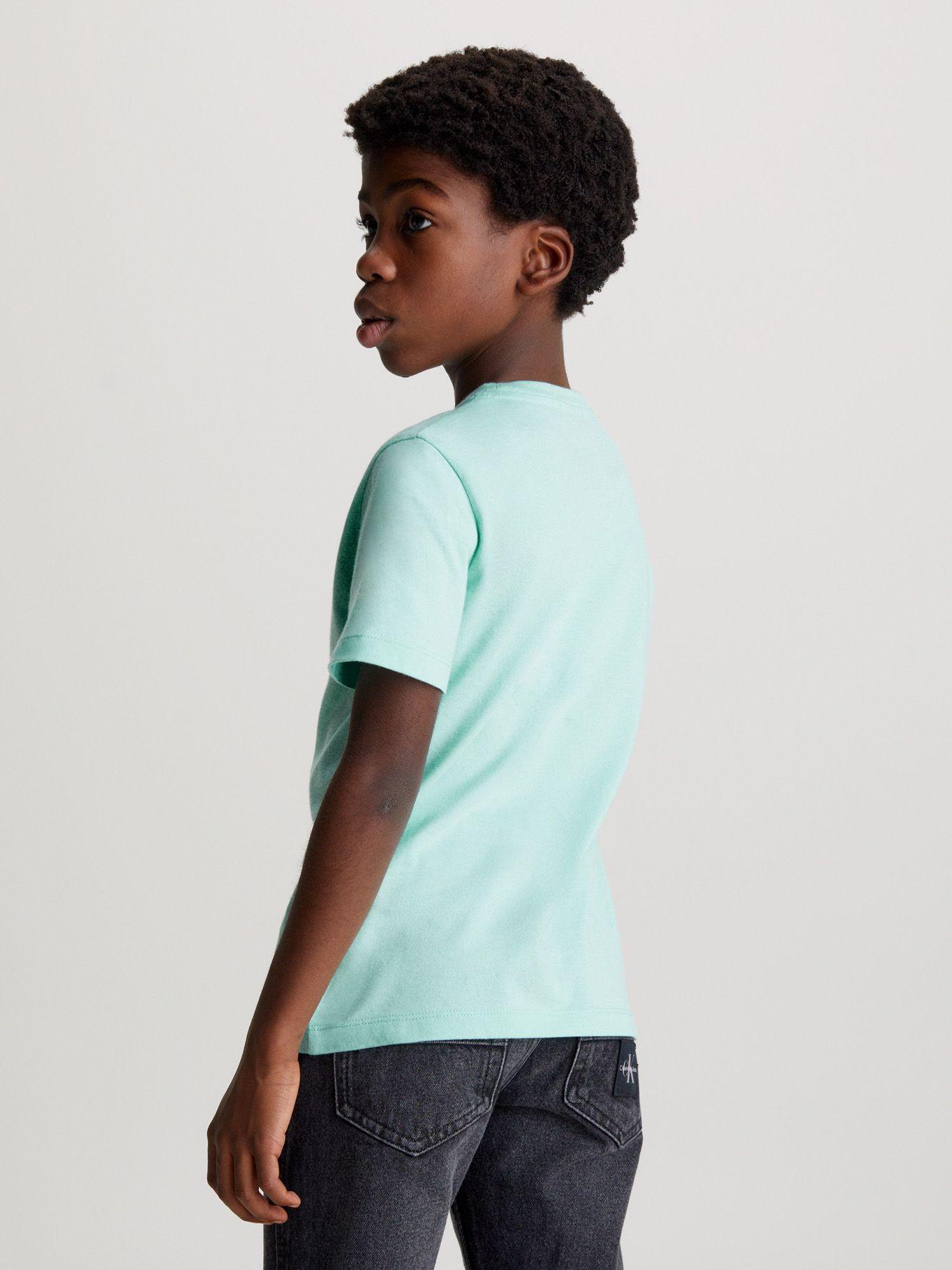 Polera Niño Chest Logo Verde Calvin Klein-2