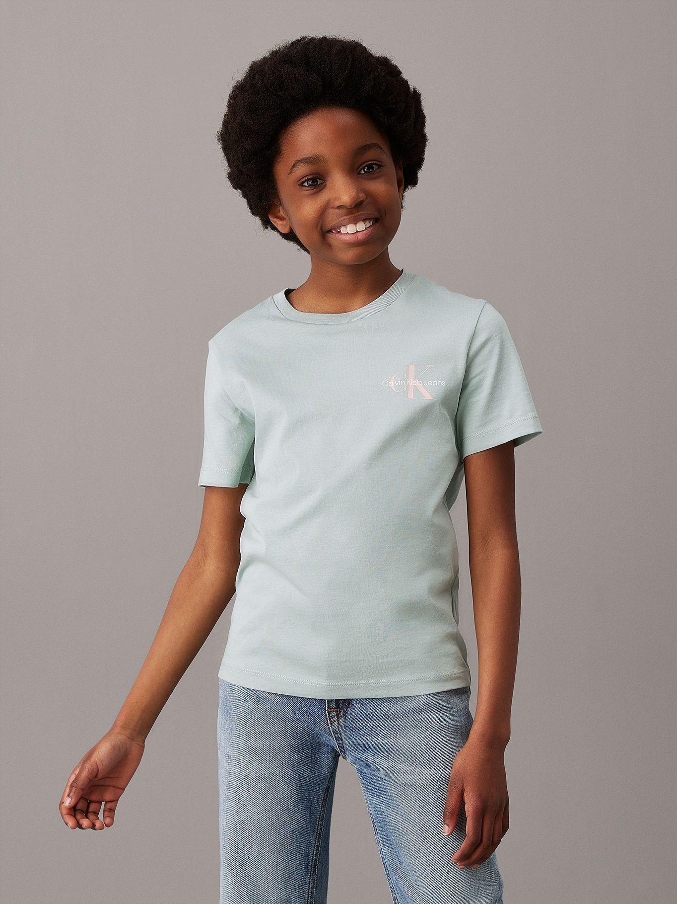 Polera Niño Ches Monologo Verde Calvin Klein-1