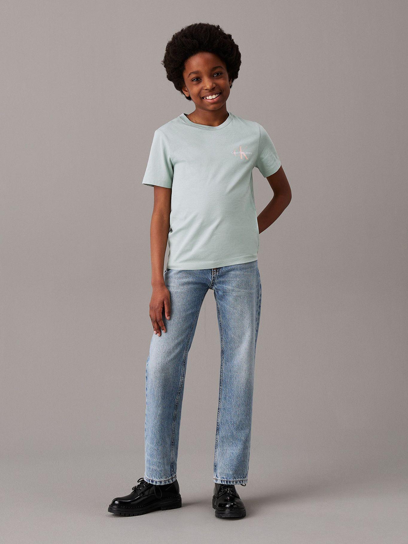 Polera Niño Ches Monologo Verde Calvin Klein-3