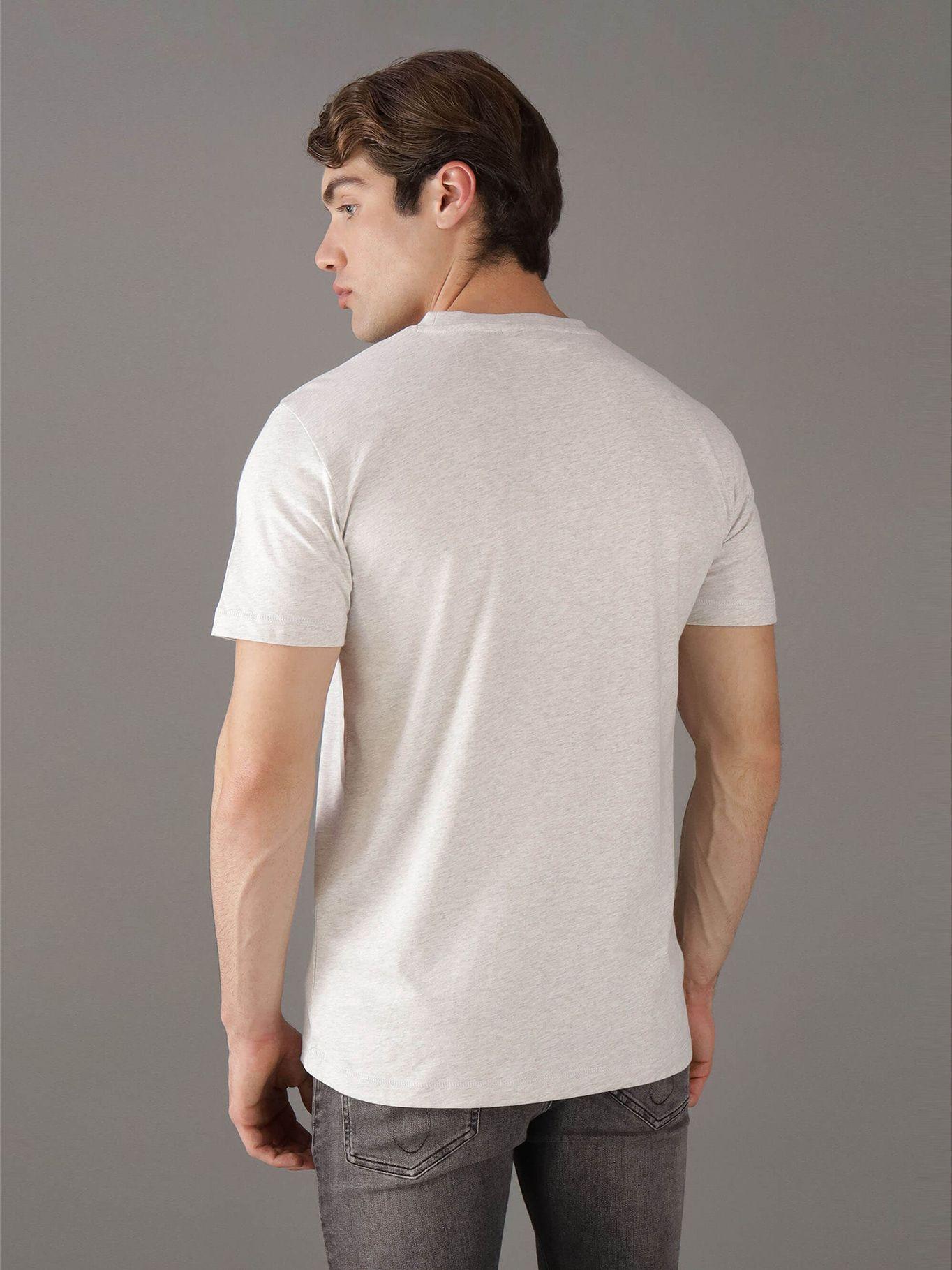 Polera Monologo Gris 6G Calvin Klein-2
