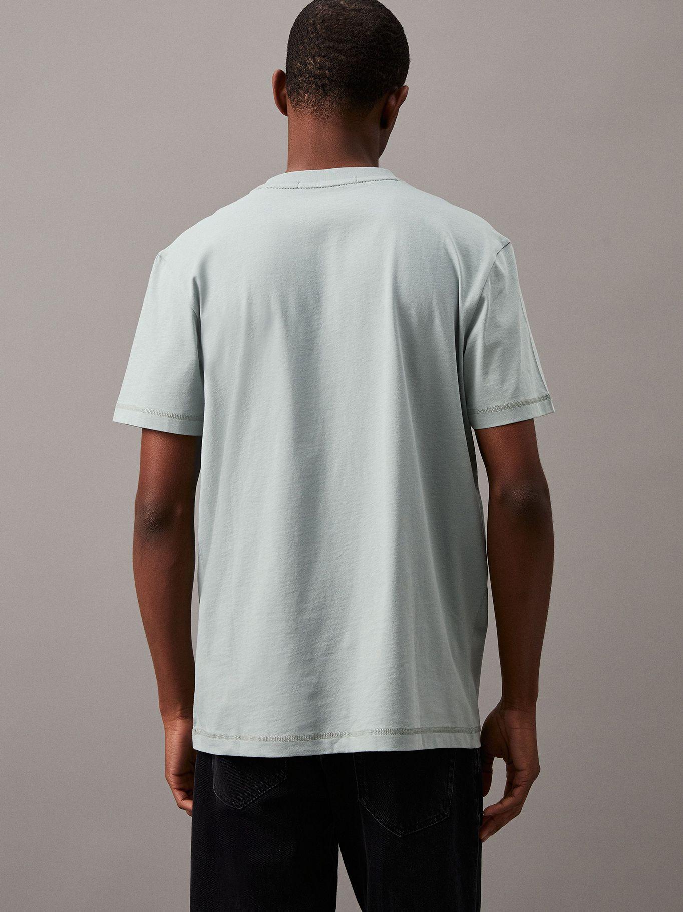 Polera Monologo Gris Calvin Klein-2