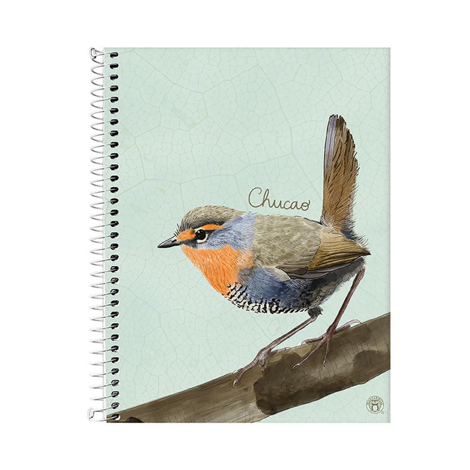 Agenda 2025 Chucao-0