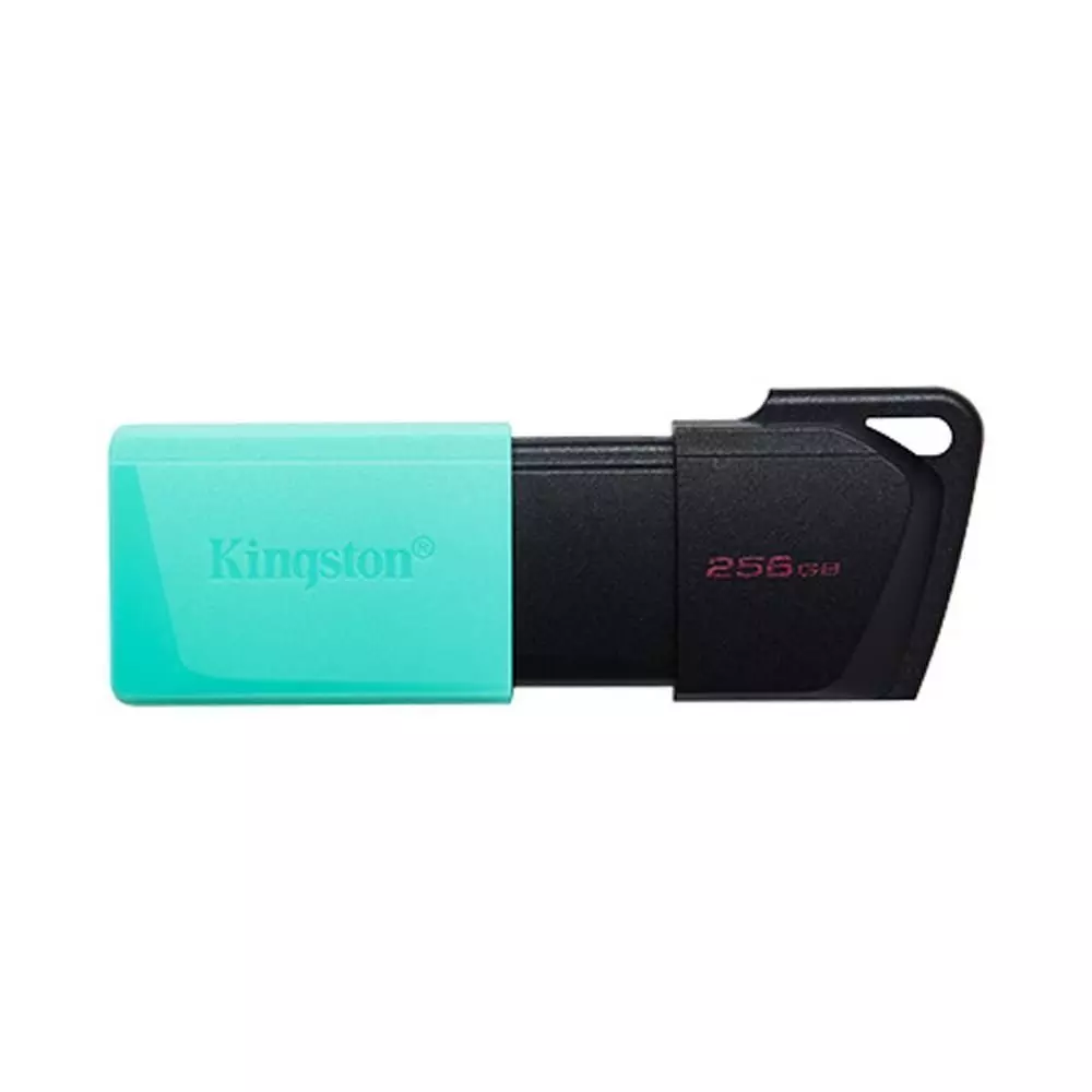 Memoria Usb Kingston Datatraveler 256gb Usb 3.1 Gen 1 -2