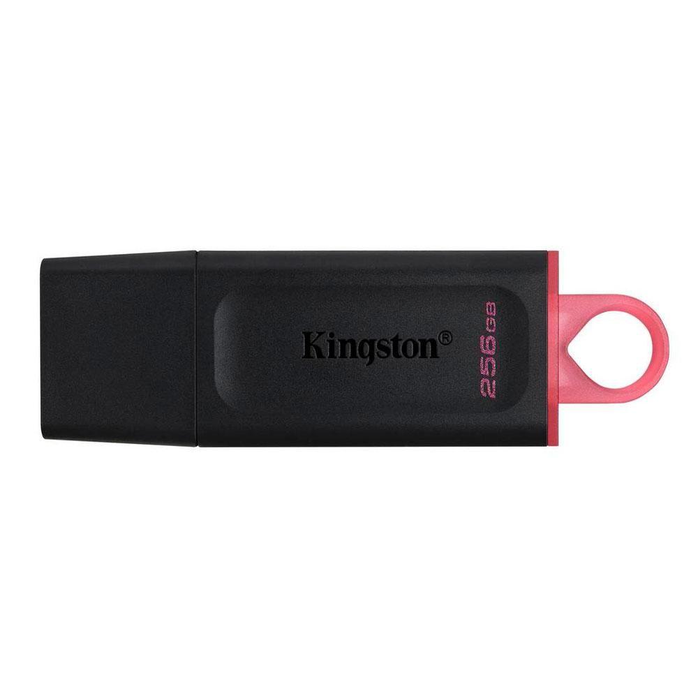 Kingston Datatraveler Usb 3.2 Gen 1 256gb -1