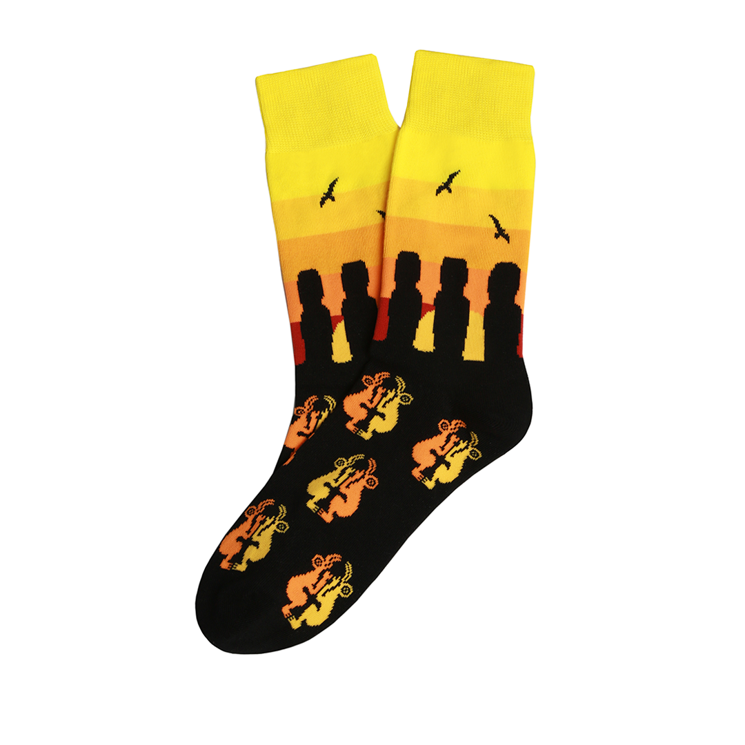 Pack 3 Calcetines de Chile - Socks Lab-1