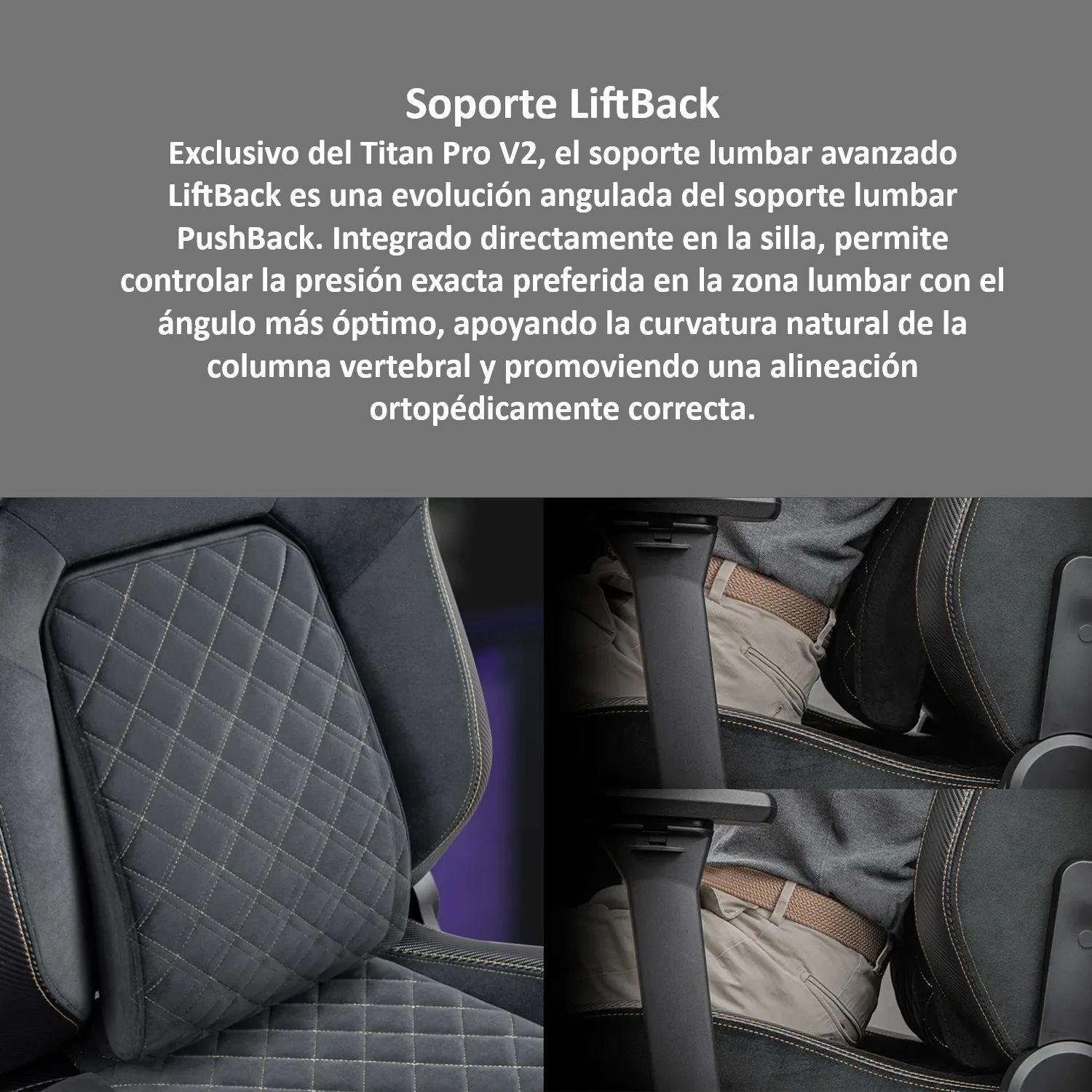 Silla Gamer Ergonomica Cougar Titan Pro V2 Gold F-5