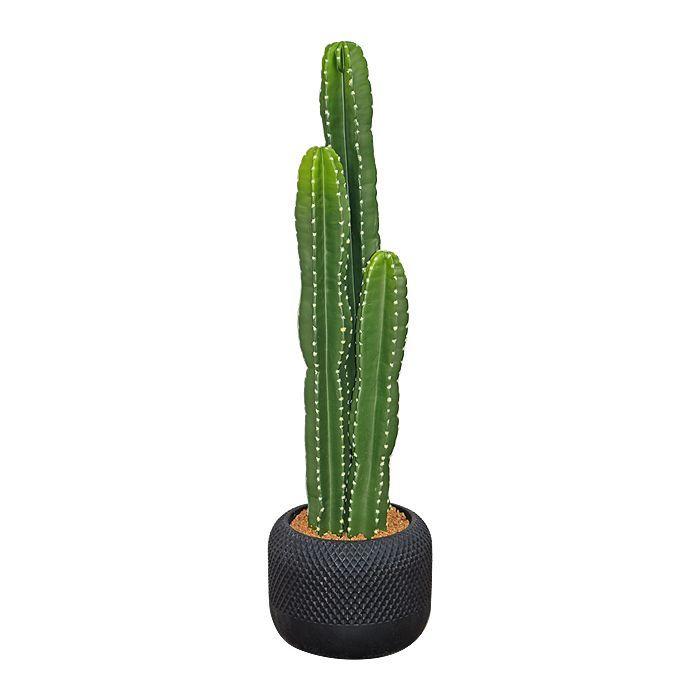 Planta Cactus 90cm-0