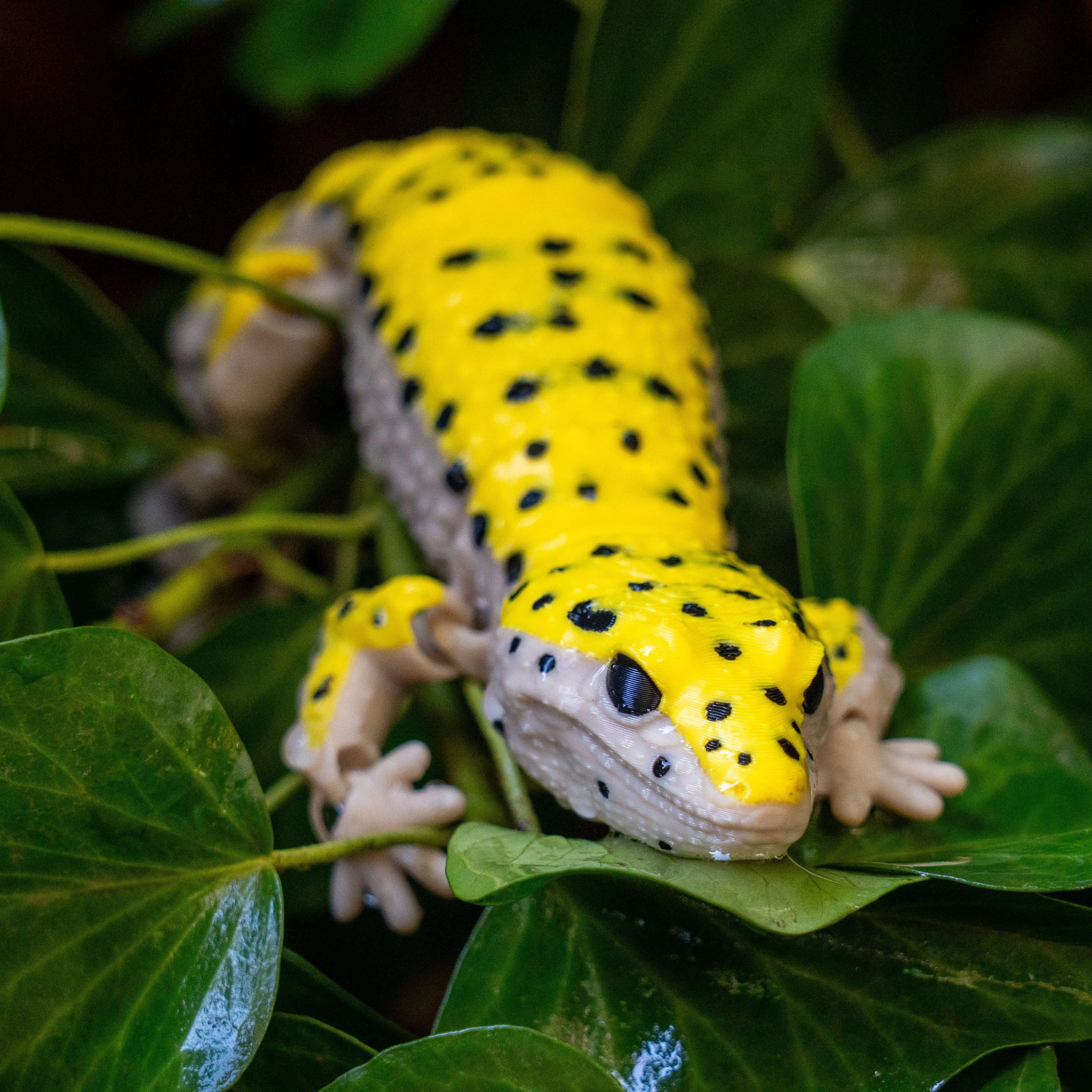 Juguete Gecko Leopardo Articulado-0