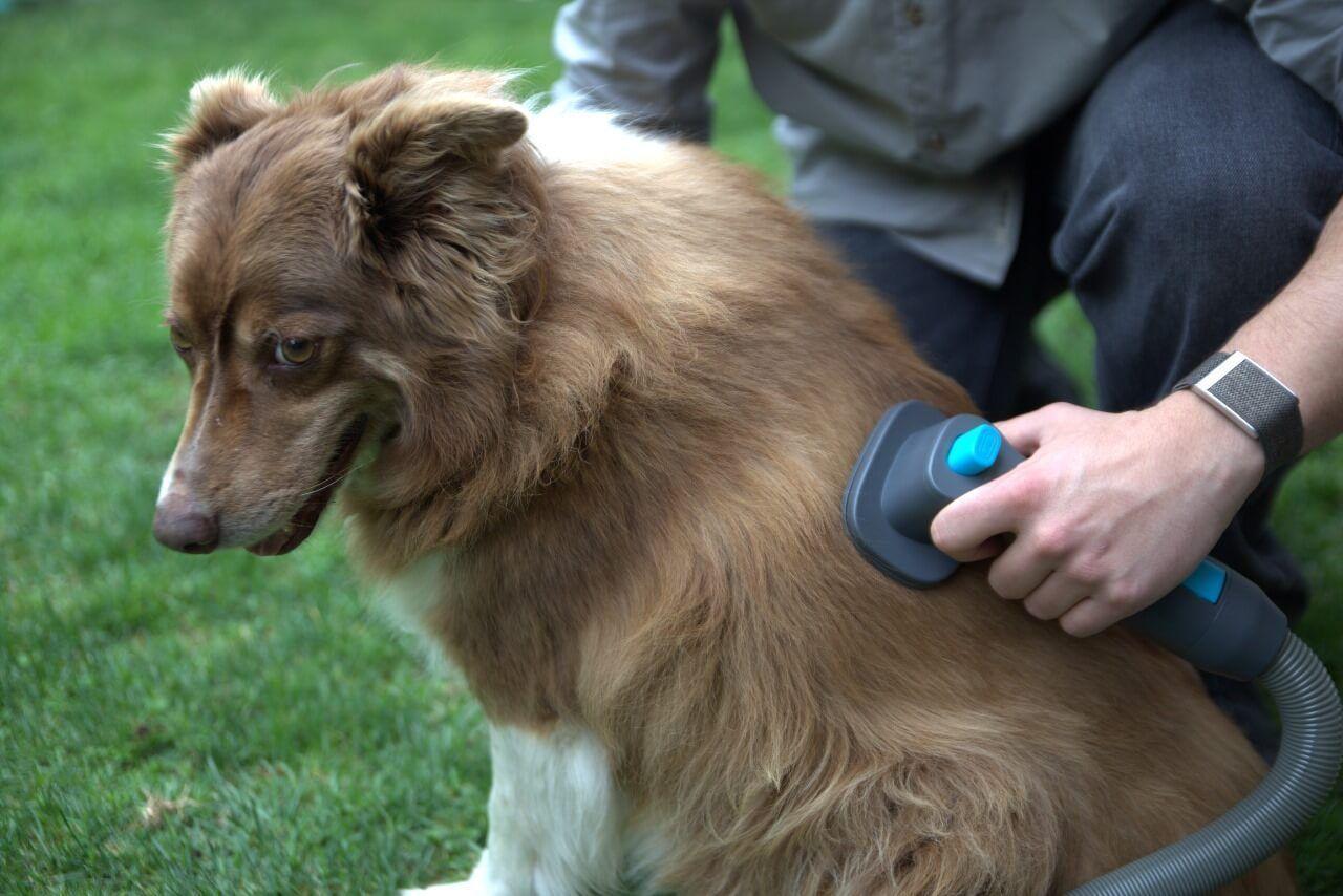 Cepillo para Mascotas Pet Brush Aspiradora Inalámbrica X5-Full PRIMATERM-3
