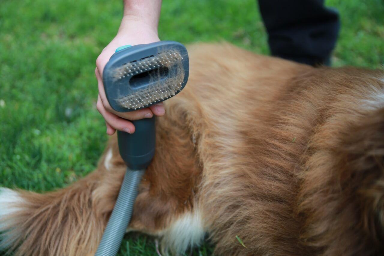 Cepillo para Mascotas Pet Brush Aspiradora Inalámbrica X5-Full PRIMATERM-4