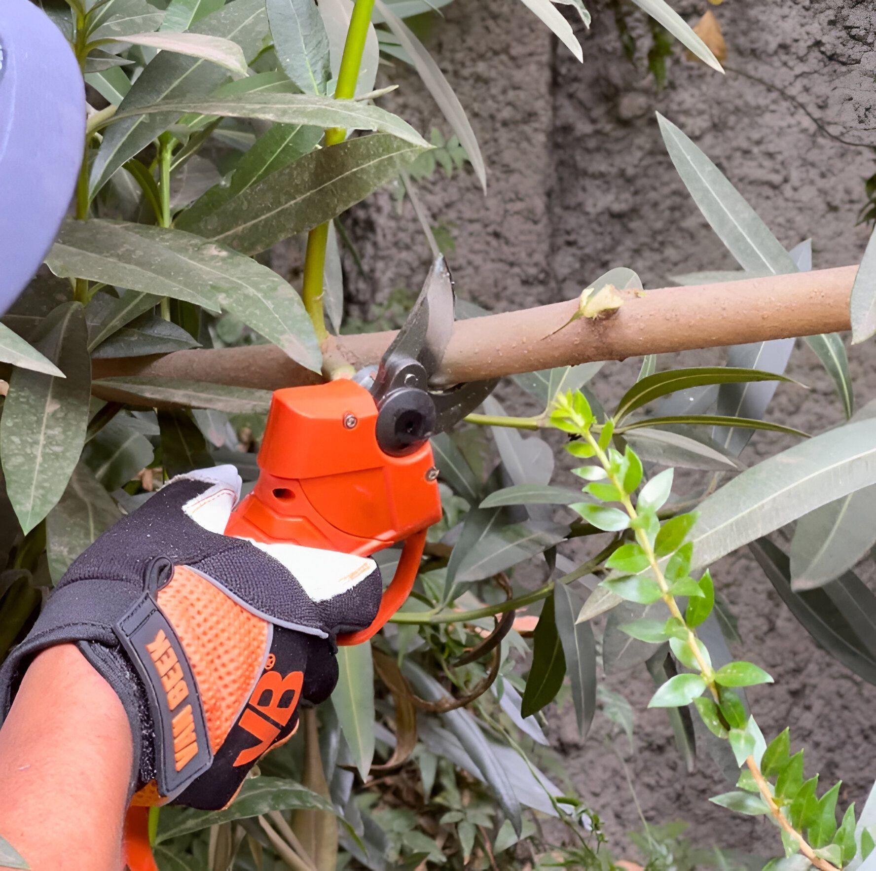 Tijera Podadora Eléctrica Portátil Recargable Corte 25mm-4