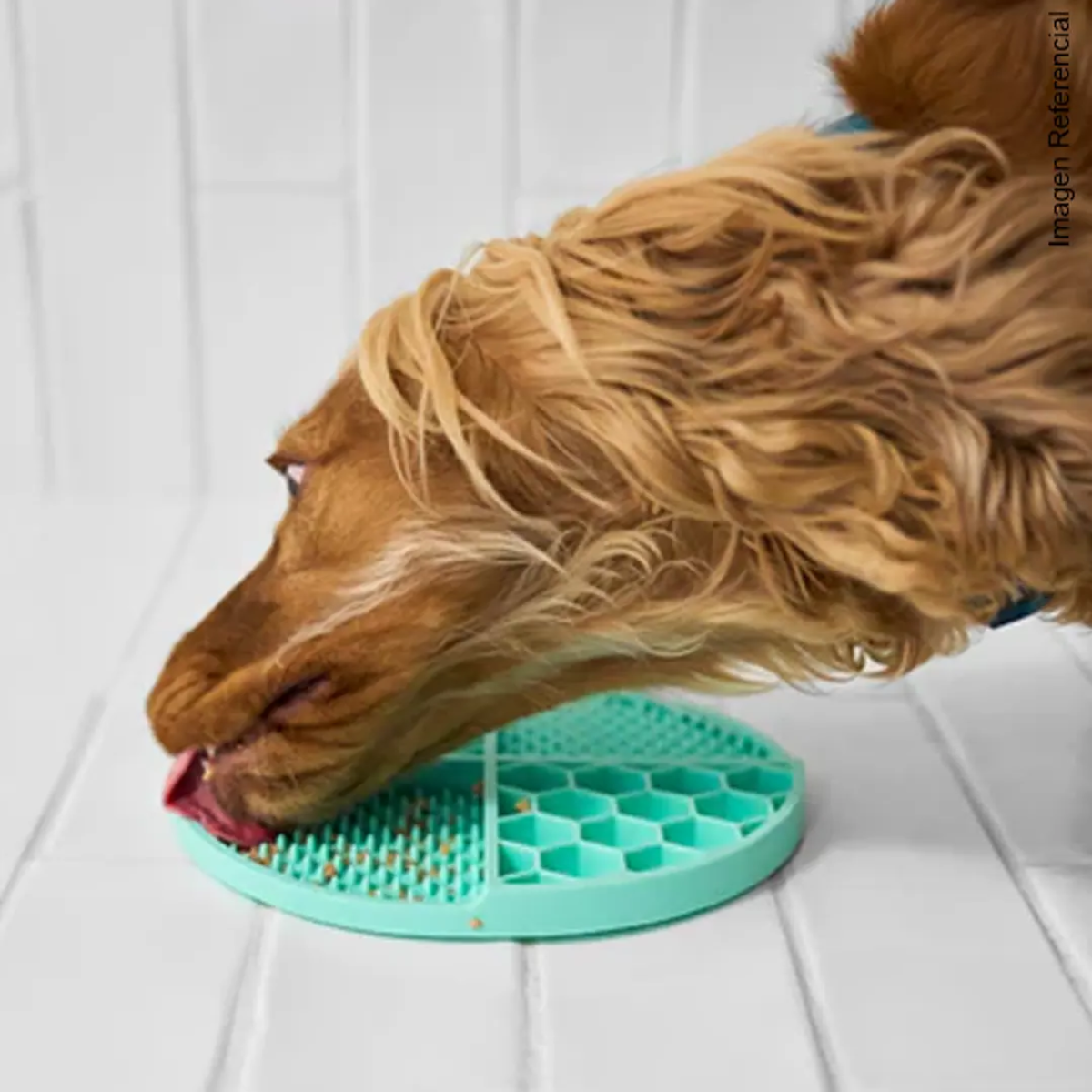 Plato De Silicona Lento Lick Mat Para Perros Y Gatos Celeste-4
