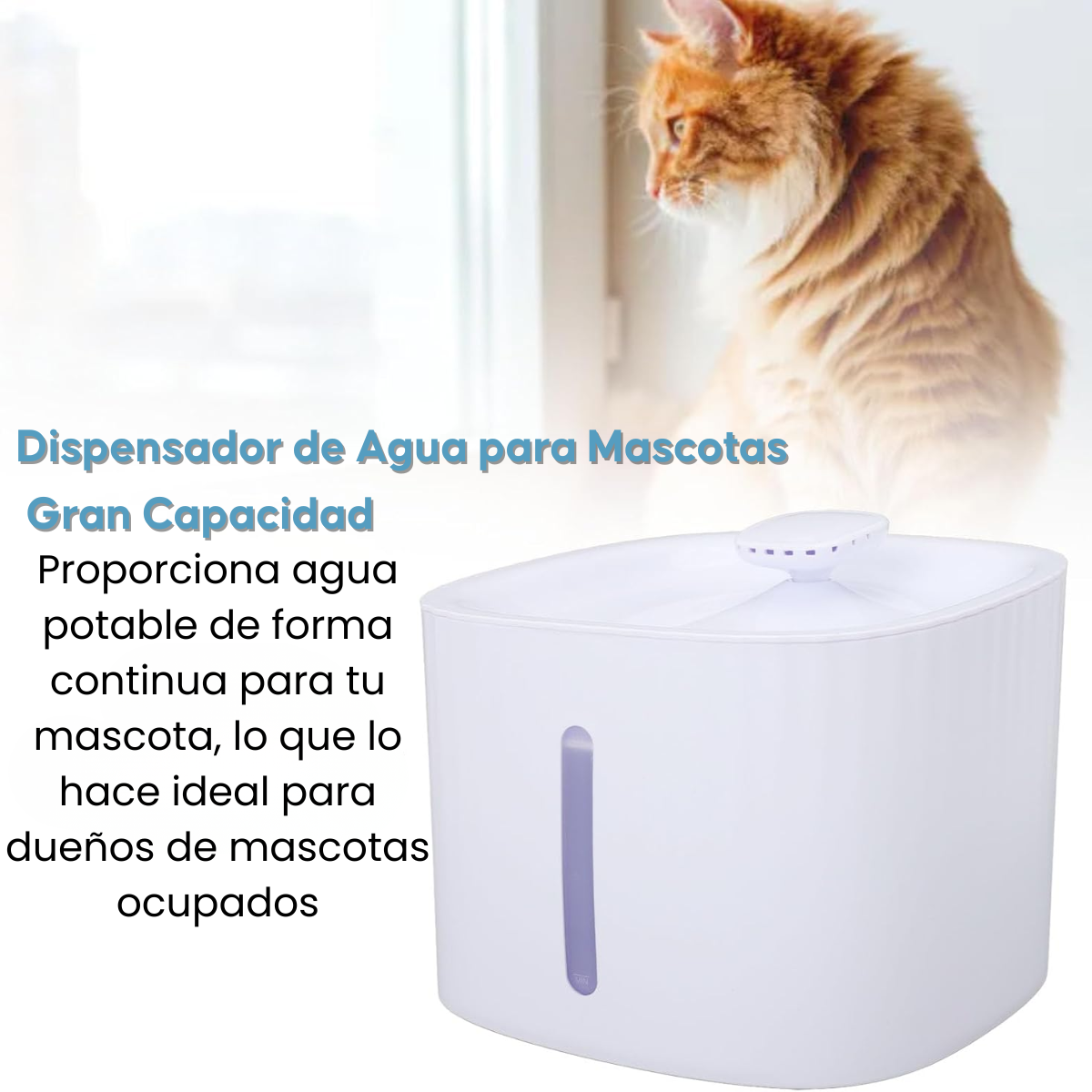 Bebedero Automatico Fuente Mascotas Perro Gato Con Filtro-4