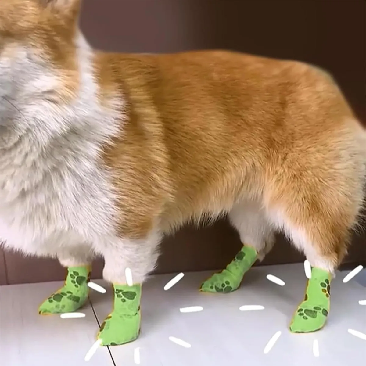 Venda Cohesiva Para Heridas Mascotas Autoadherente 5cmx4cm-5