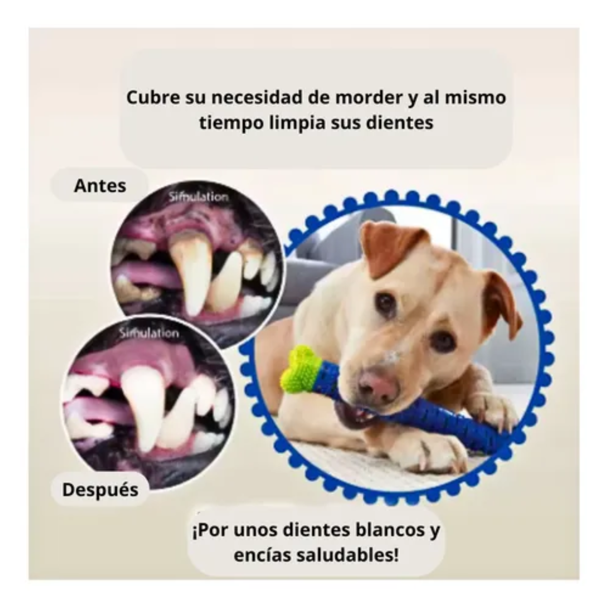 Mordedor Cepillo De Dientes Reduce Placa Sarro Para Perros-1