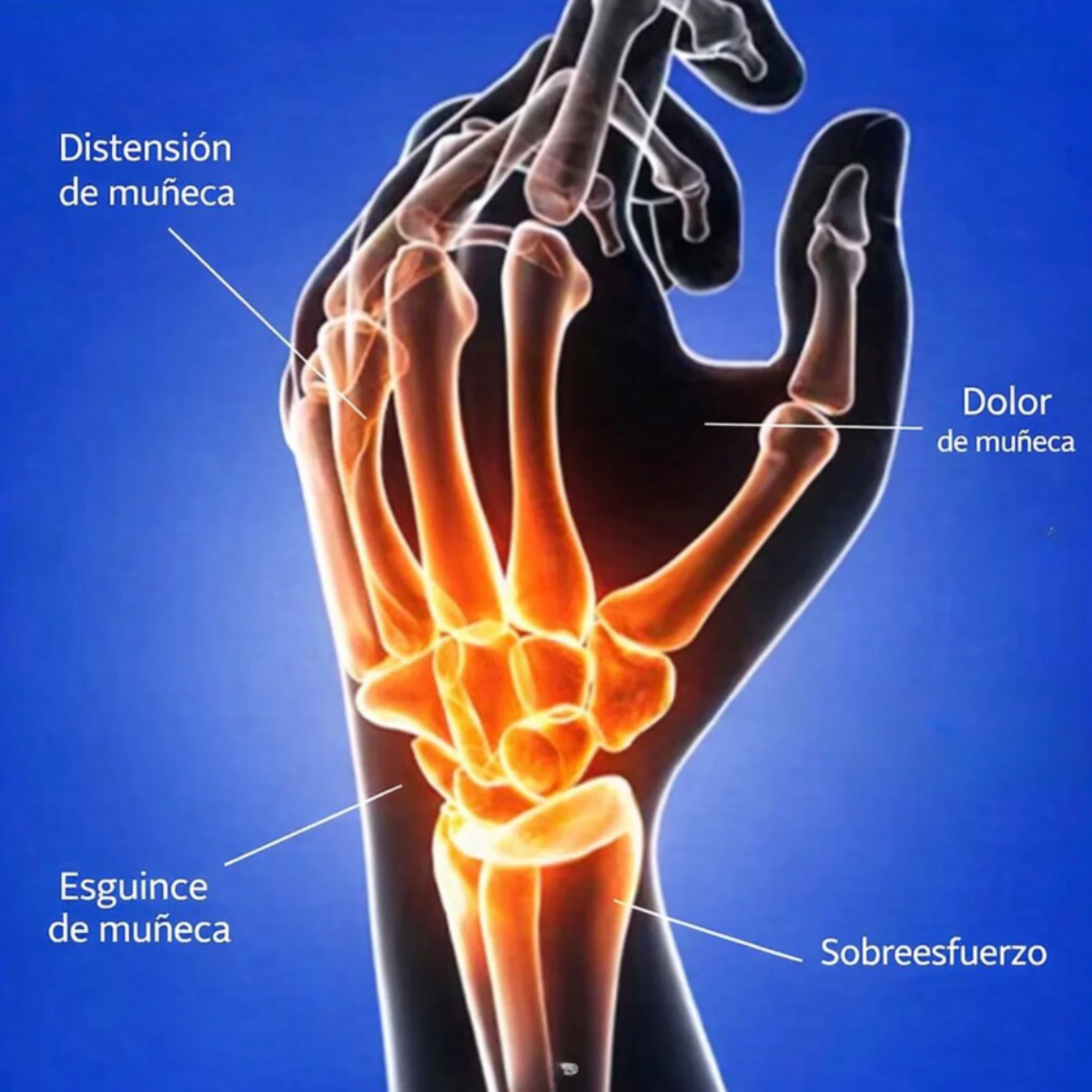 Munequera Deportiva Ajustable Con Compresion Soporte Muneca-3