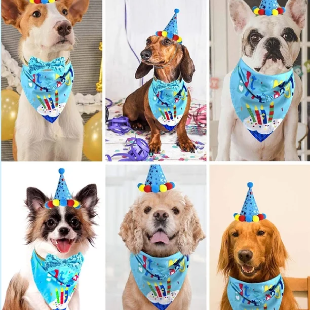 Kit Decoracion Cumpleanos Para Perro Bandana Gorro Globos-5