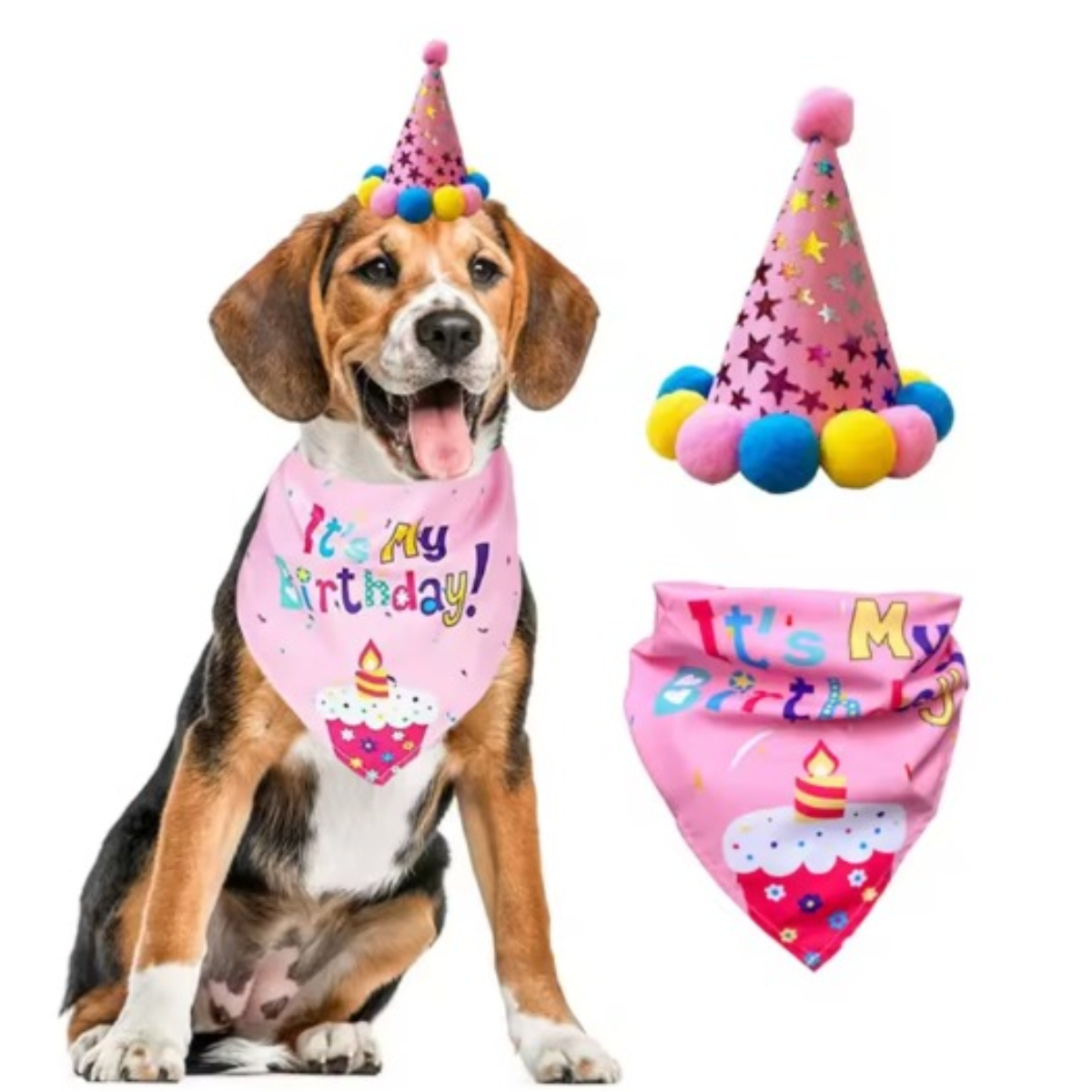 Kit Decoracion Rosa Cumpleanos Perro Bandana Gorro Globos-3