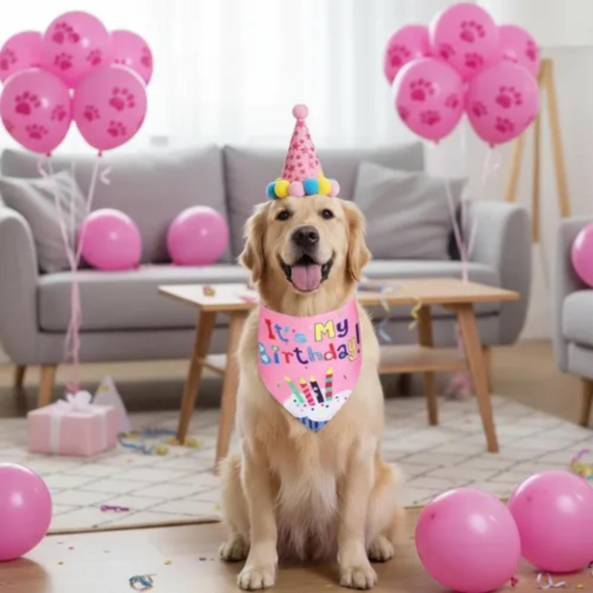 Kit Decoracion Rosa Cumpleanos Perro Bandana Gorro Globos-4