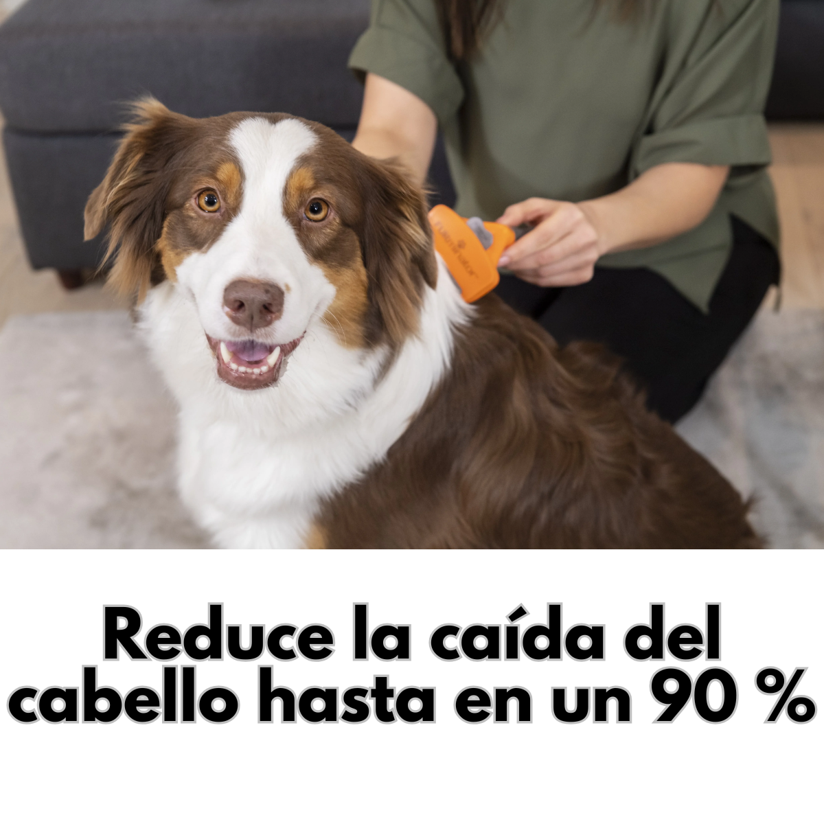 Cepillo Deslanador Para Perros Pelo Largo Talla M-2