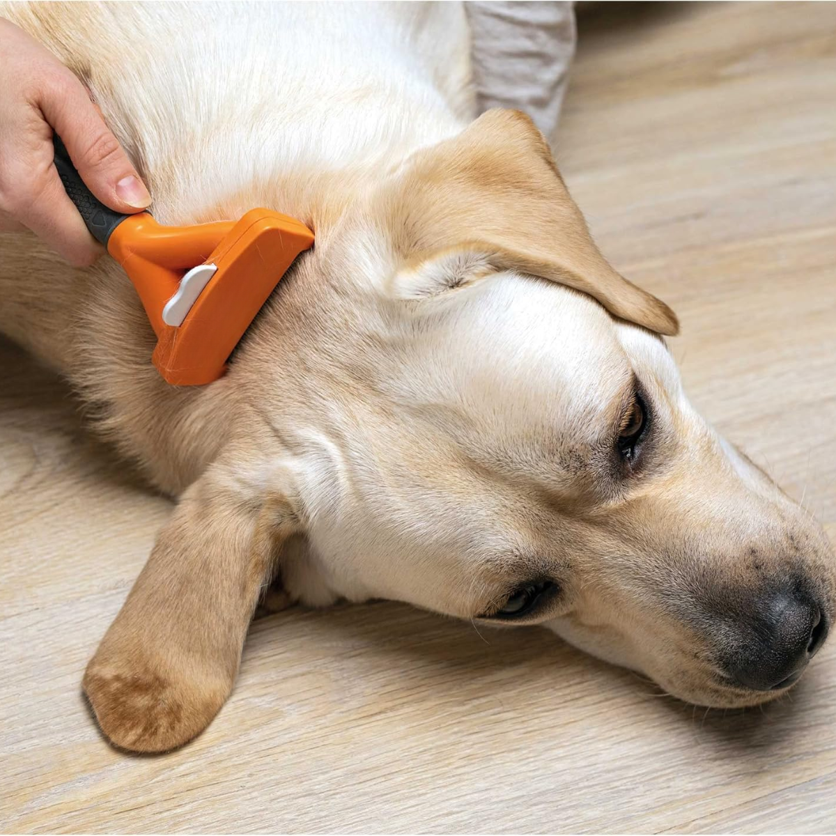 Cepillo Deslanador Para Perros Pelo Largo Talla M-4