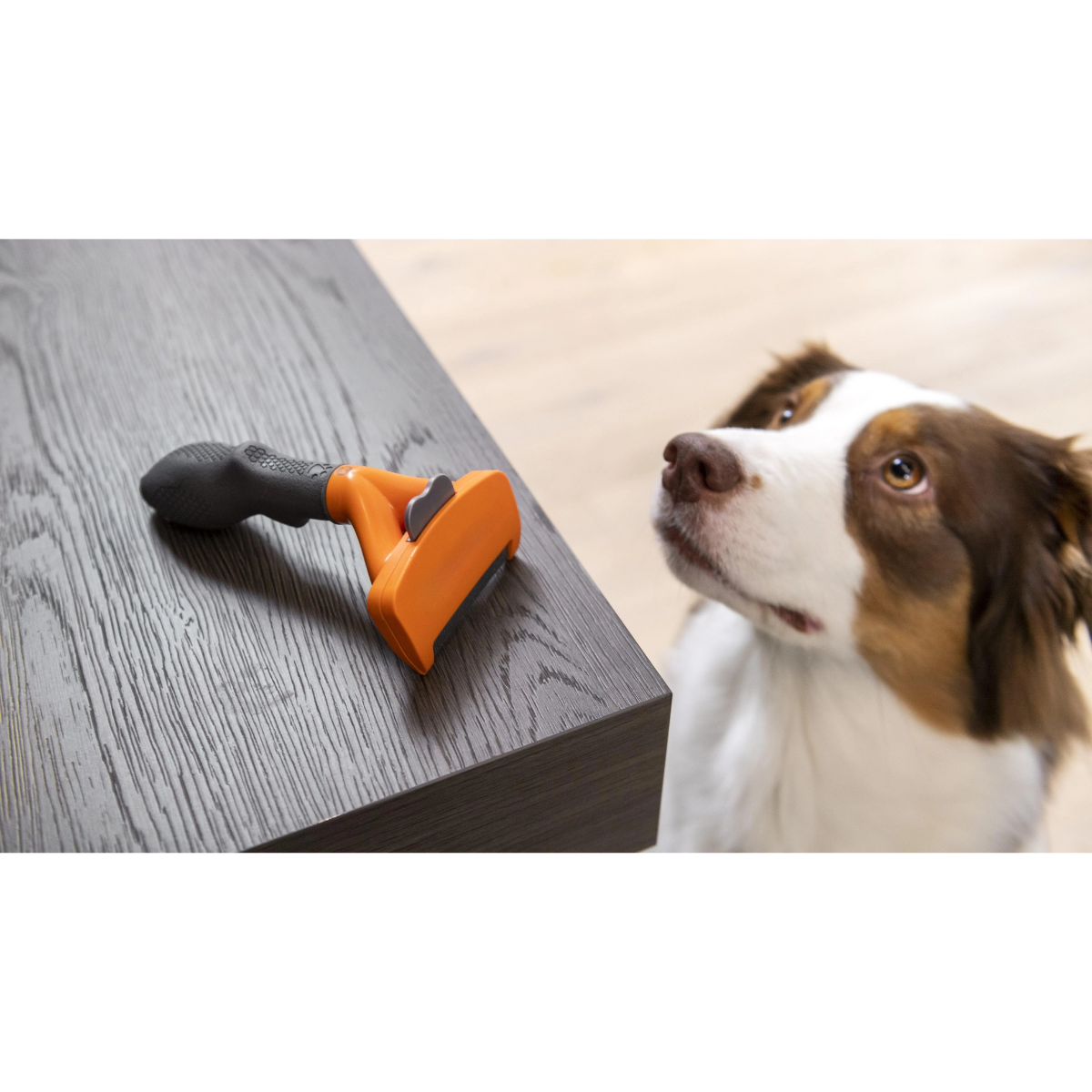 Cepillo Deslanador Para Perros Pelo Largo Talla M-5