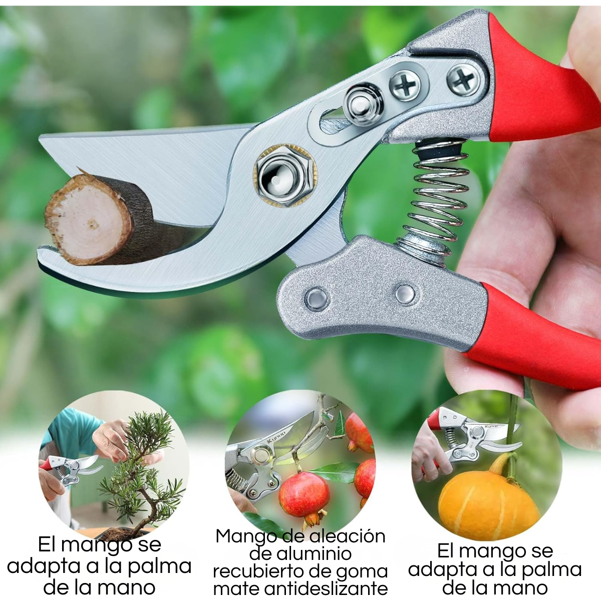 Tijera De Jardinería 8 Pulgadas Profesional-3