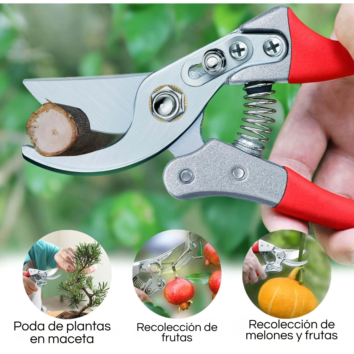 Tijera De Jardinería 8 Pulgadas Profesional-7