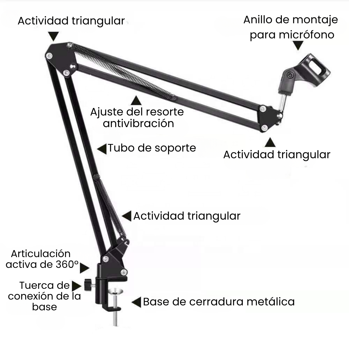 Kit Profesional Brazo Microfono Antipop Soporte Araña Studio-2