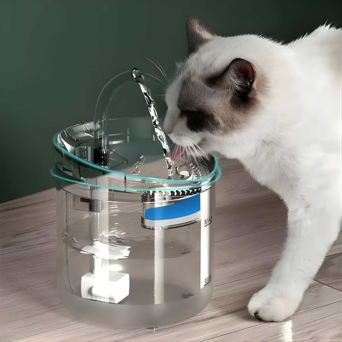 Fuente De Agua Transparente Automatica Para Perros Y Gatos-9