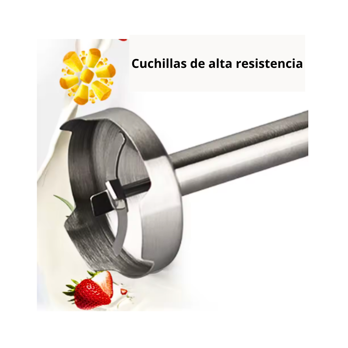 Batidor De Mano Batidora De Inmersión 10000w Raf R.315-4